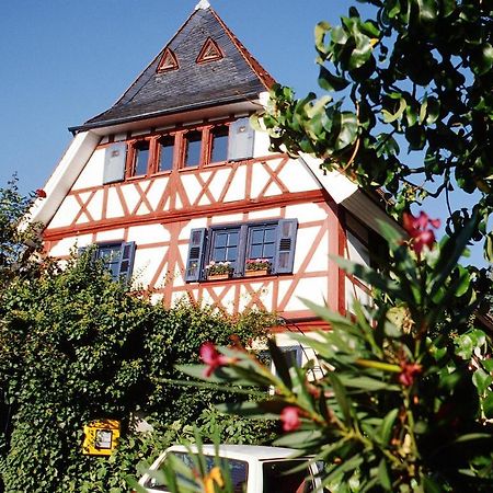 Hotel Garni Zur Bergstrasse Zwingenberg  Exteriér fotografie