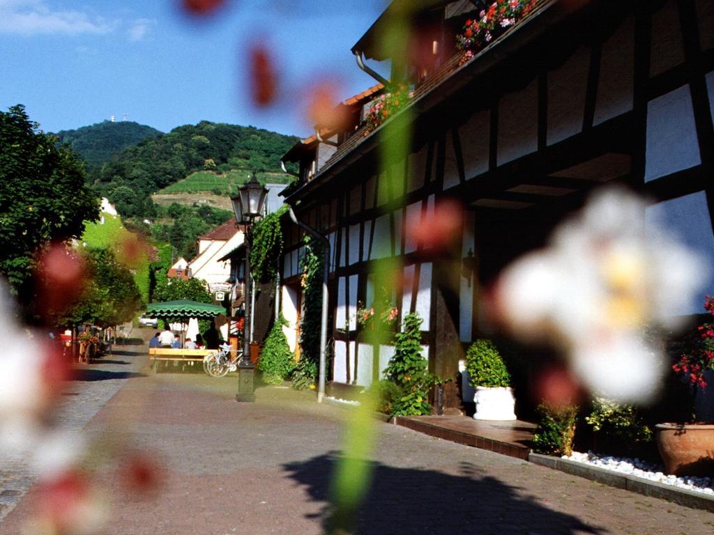 Hotel Garni Zur Bergstrasse Zwingenberg  Exteriér fotografie